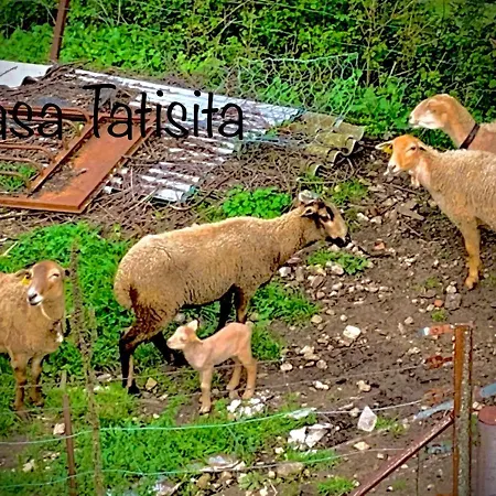 Rural Casa Tatisita Hotelito *